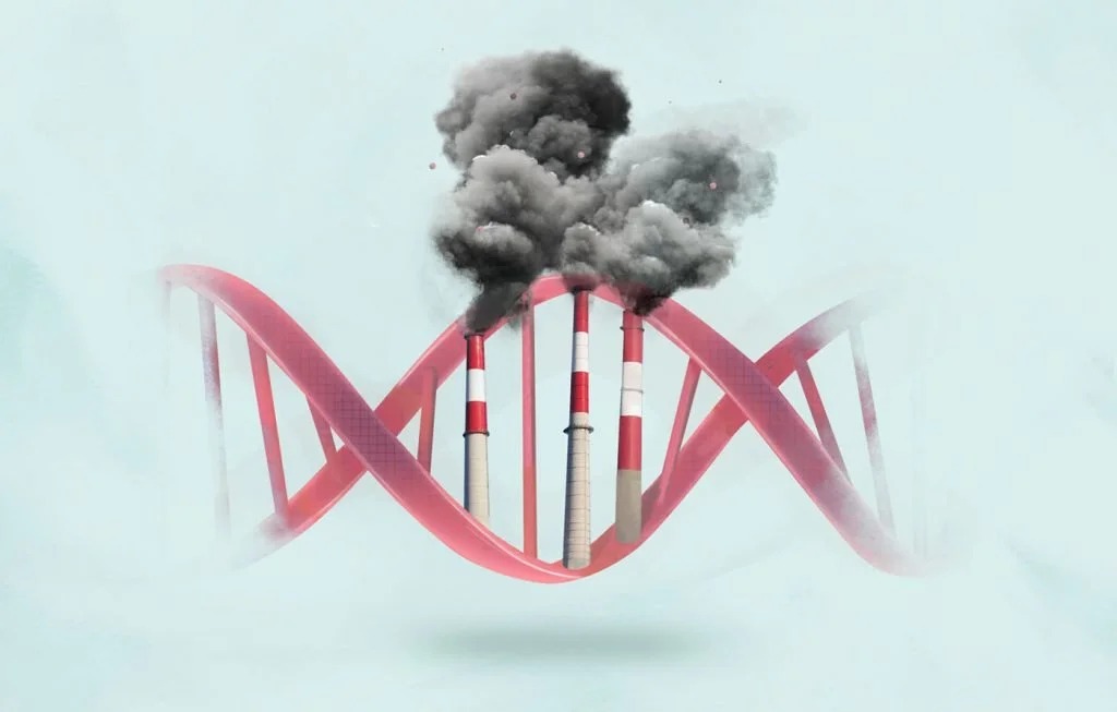 Daily run Africa podcast illustrations view 7