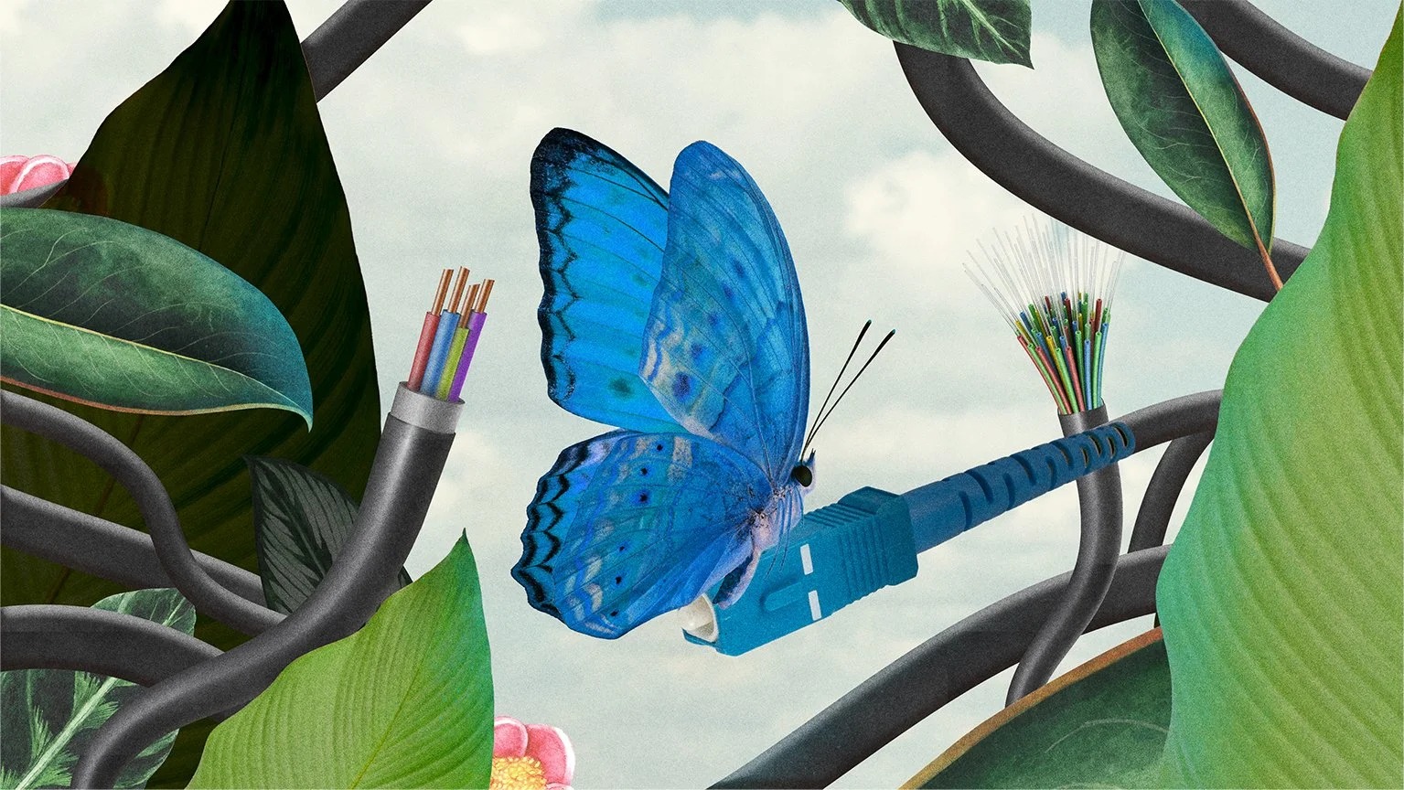 Lucyda video manifiesto view 4