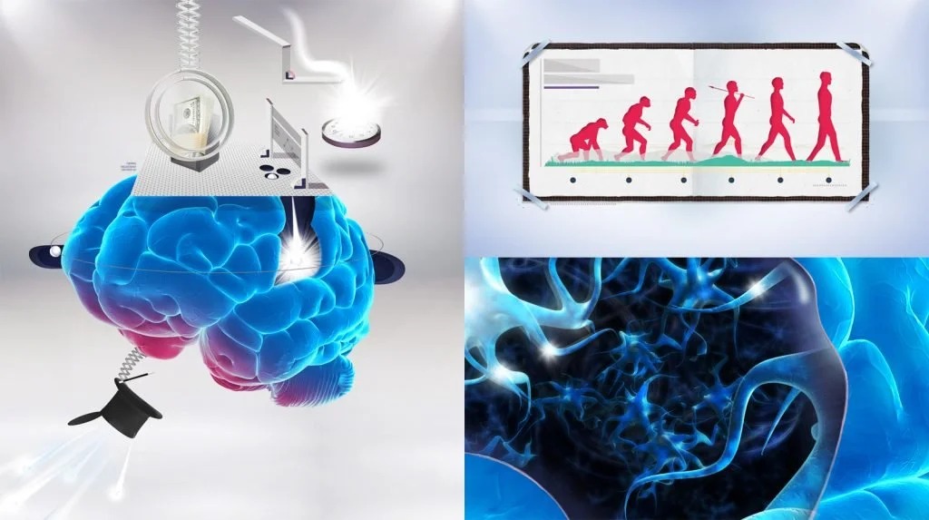 Nat Geo Asombrosamente view 2