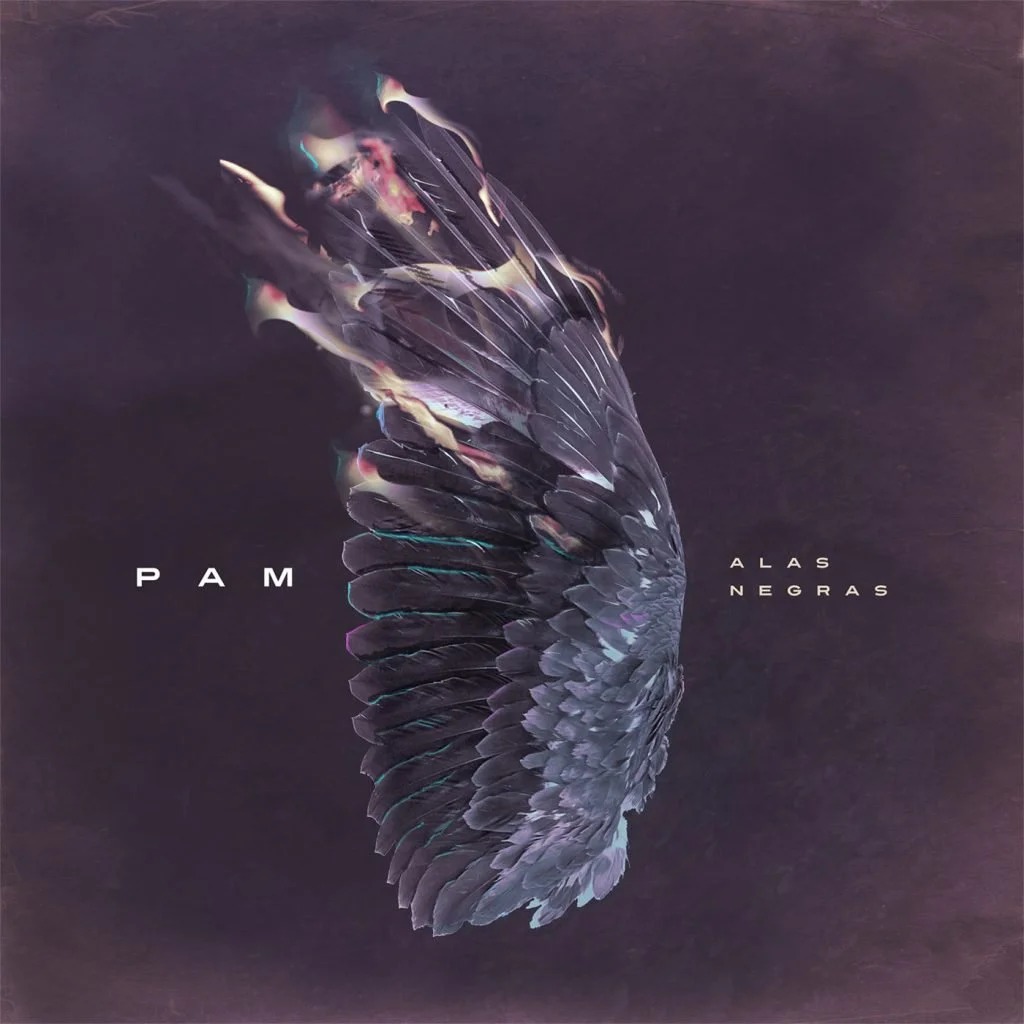 P.A.M – Alas negras view 2