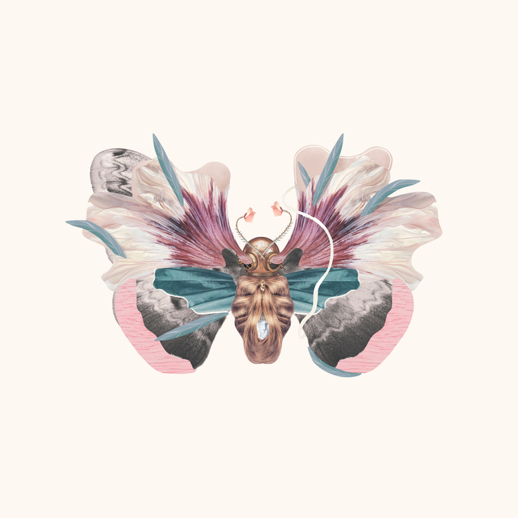 Digital Collages view 5