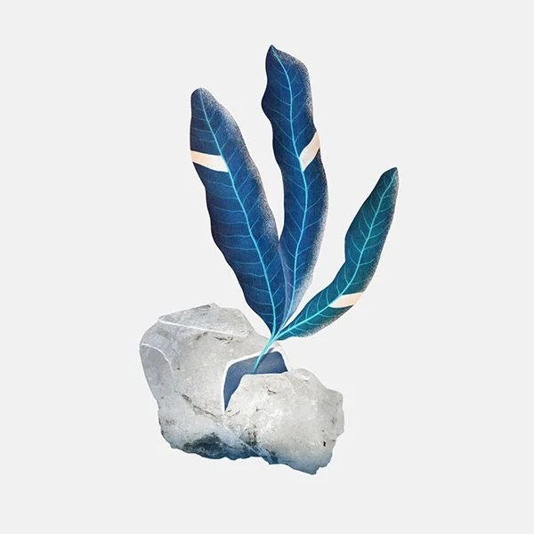 Digital Collages view 7