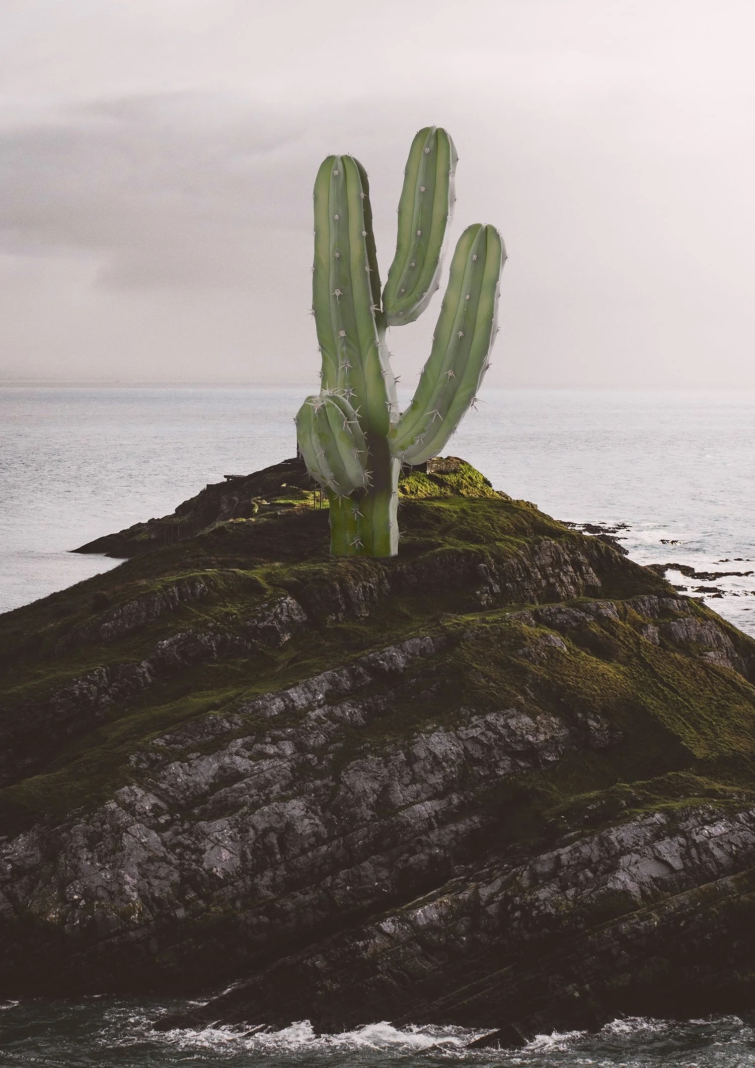 Missing Objects view 4