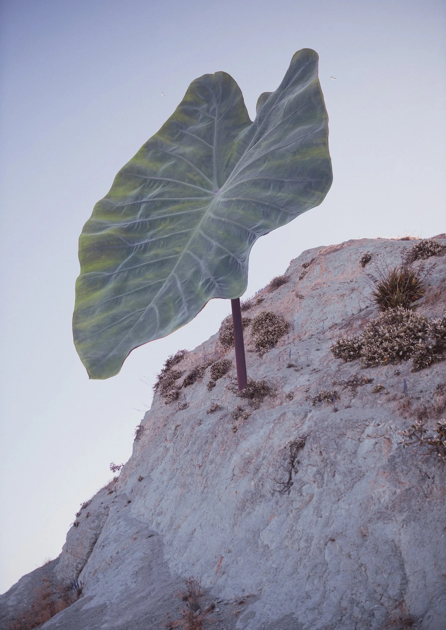 Missing Objects view 5