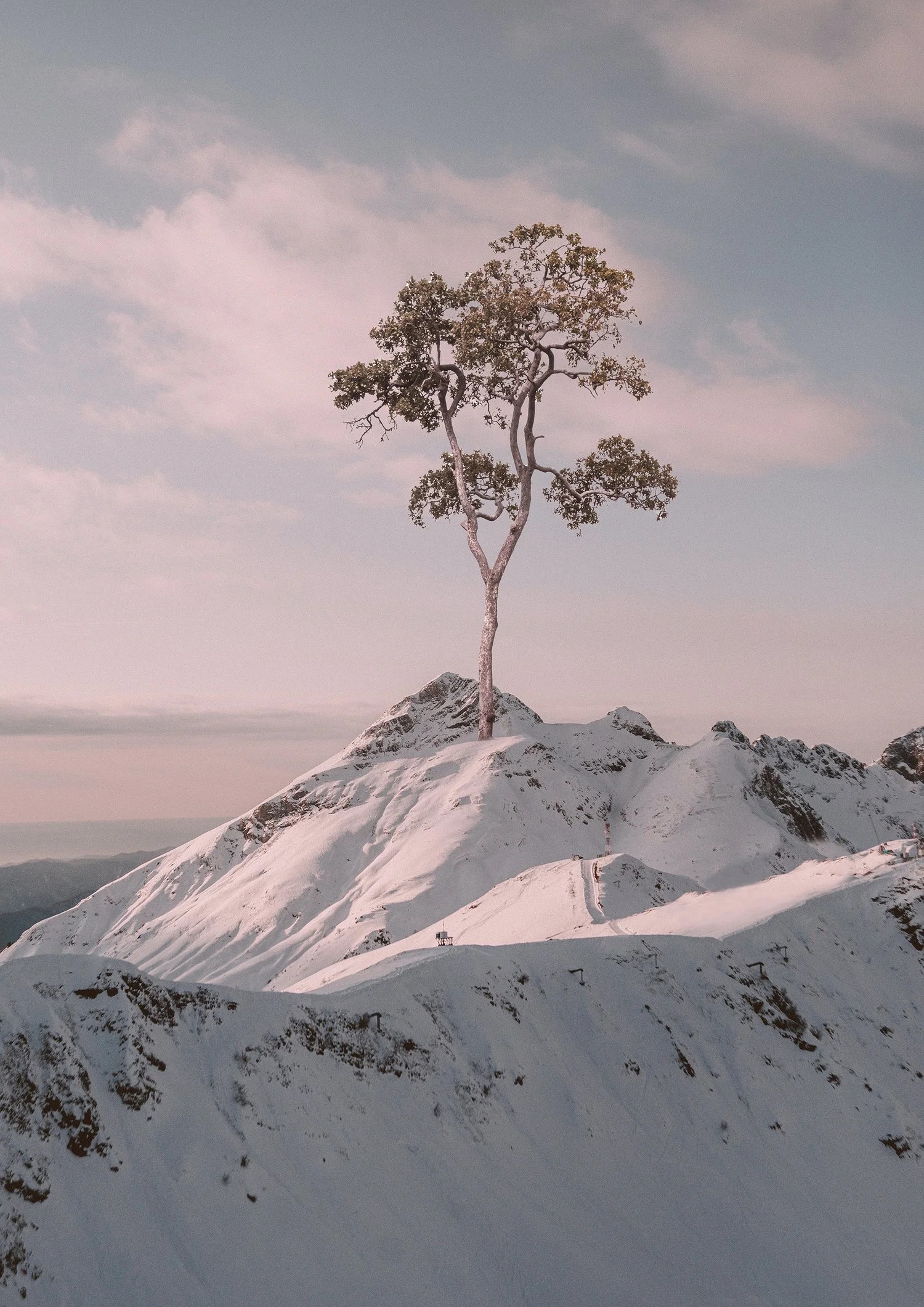 Missing Objects view 6